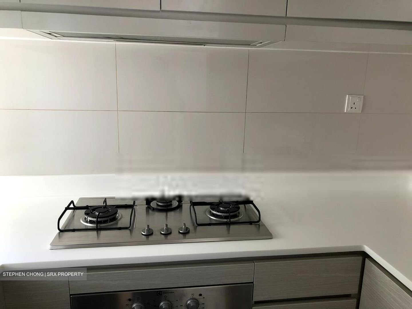 The Skywoods (D23), Condominium #456185801